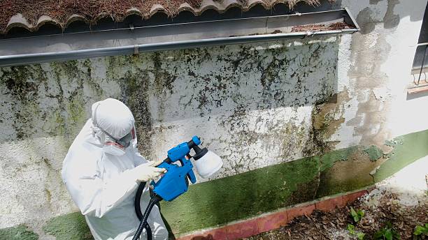 Top rated local Black Mold Remediation specialists in Gettysburg, PA
